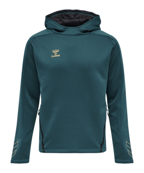 Hummel hmlCIMA XK Hoody Blau F7058 - blau