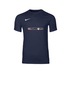 Nike Park VIII Trikot Blau F410