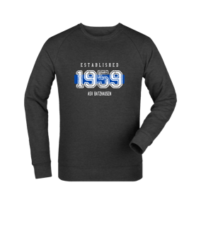 Merch Roller Sweatshirt Dark Heather Grey | #established