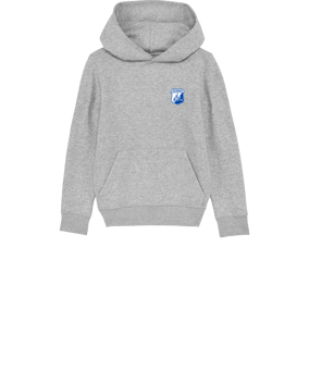 Merch Mini Cruiser 2.0 Hoody Kids H. Grey | #logo4c