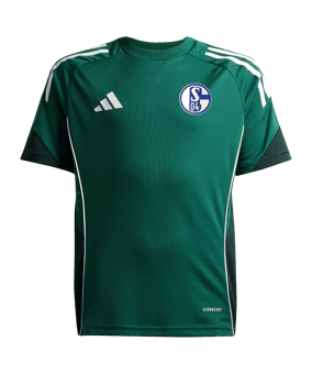 adidas FC Schalke 04 Trainingshirt Kids Grün - gruen