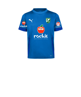 PUMA teamGOAL Matchday Trikot Kids Blau Weiss F02
