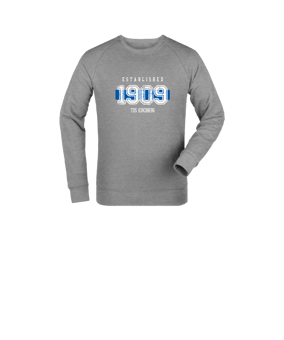 Merch Mini Changer 2.0 Sweatshirt Kids Heather Grey | #established