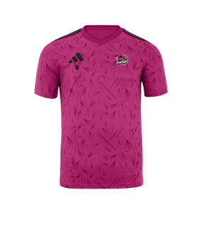 Maillot adidas équipe Icon 25 rose 
