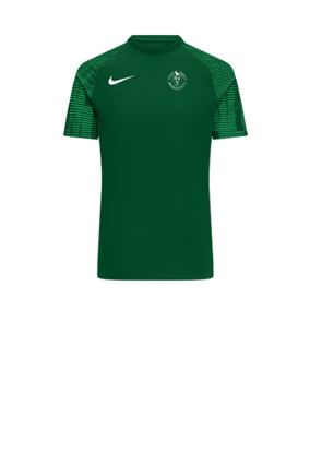 Nike Academy Trikot Grün Weiss F302