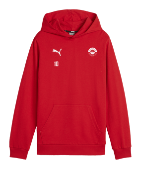 PUMA teamGOAL Casuals Hoody Kids Rot F01