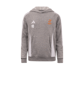 Sweat à capuche adidas Tiro 24 enfants gris blanc 