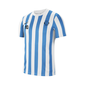 Nike Division IV Striped Trikot kurzarm Weiss F103