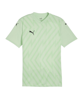 PUMA teamGLORY Trikot Grün Schwarz F60 - gruen