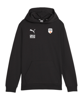PUMA teamGOAL Casuals Hoody Kids Schwarz F03