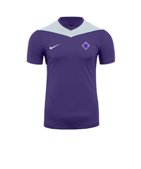 Nike Park Derby IV Trikot Lila Weiss F547