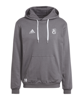 adidas Entrada 22 Hoody Grau