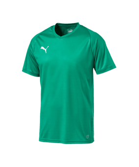 PUMA LIGA Core Trikot kurzarm Grün Weiss F05 - gruen