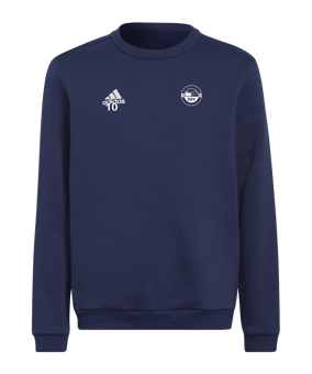 adidas Entrada 22 Sweatshirt Kids Blau