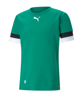 PUMA teamRISE Trikot Grün F05