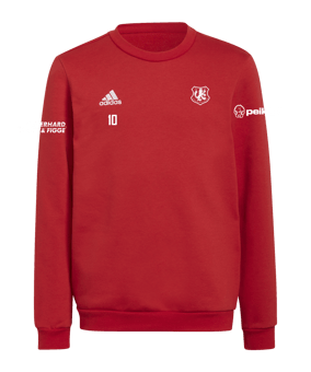 adidas Entrada 22 Sweatshirt Kids Rot