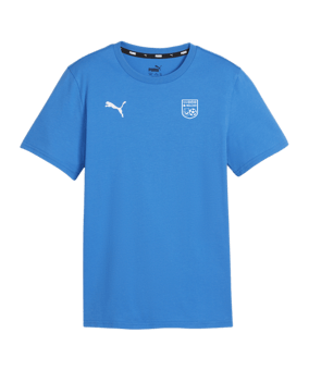 PUMA teamGOAL Casuals T-Shirt Kids Blau F02