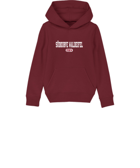Merch Mini Cruiser 2.0 Hoody Kids Burgundy FC244