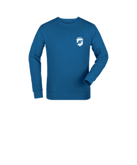 Merch Mini Changer 2.0 Sweatshirt Kids Royal Blue | #basketball