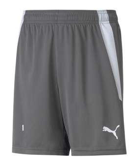 PUMA teamLIGA Short Kids Grau Weiss F13