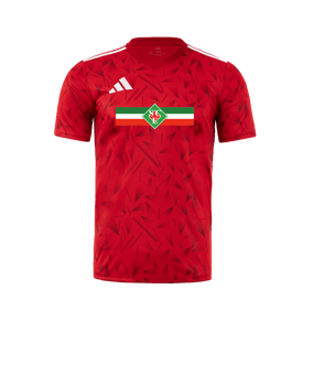 adidas Team Icon 25 Trikot Rot