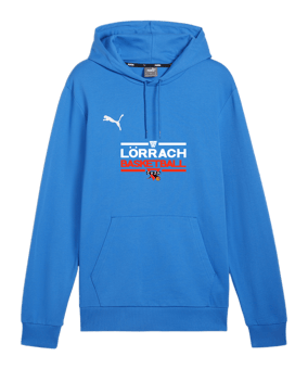 PUMA teamGOAL Casuals Hoody Blau F02