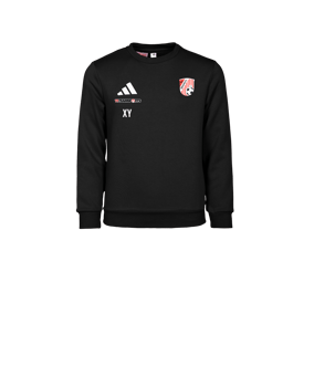 adidas Entrada 26 Sweatshirt Kids Schwarz