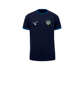 Maillot Nike Academy 25 Enfants Bleu C410