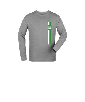 Merch Mini Changer 2.0 Sweatshirt Kids Heather Grey | #stripes 2