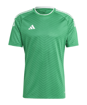 adidas Campeon 23 Trikot Grün - gruen