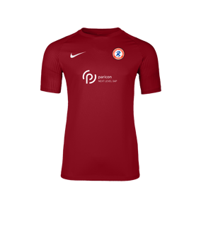 Nike Academy II Trikot Rot F657