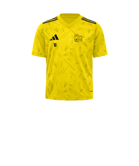 adidas Team Icon 25 Maillot Enfants Jaune 