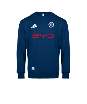 adidas Entrada 26 Sweatshirt Blau