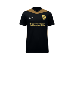 Nike Park Derby IV Trikot Kids Schwarz Gold F011
