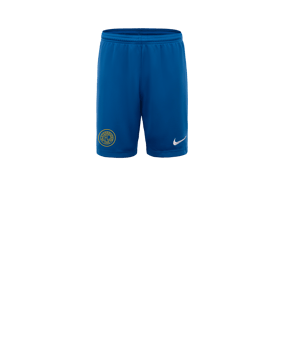 Nike Park III Short Kids Blau F463