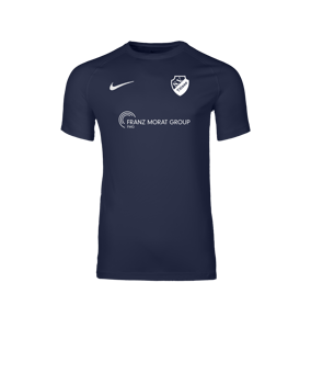 Nike Park VIII Trikot Blau F410