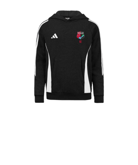 Sweat à capuche adidas Tiro 24 noir blanc 
