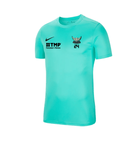 Nike Park VII Trikot kurzarm Türkis F354