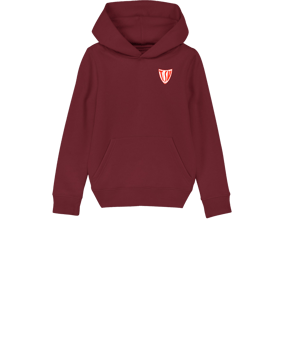 Merch Mini Cruiser 2.0 Hoody Kids Burgundy FC244