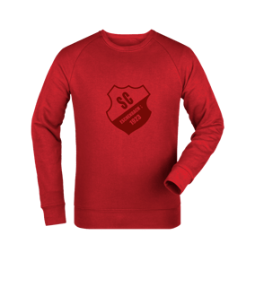Merch Roller Sweatshirt Red | #toneintone