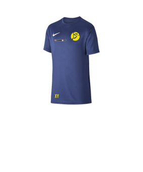 Nike Park VII Trikot kurzarm Kids Blau F410