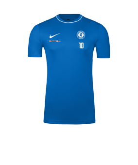 Nike Park 26 Trainingsshirt Blau F463