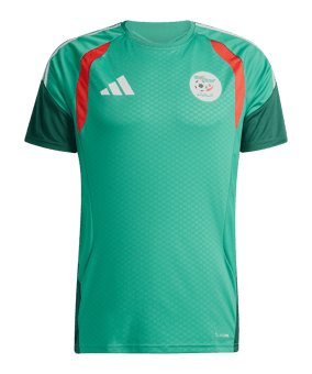 adidas Algerien Tiro Trainingsshirt Grün - gruen