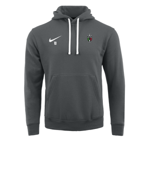 Sweat à capuche en polaire Nike Park 20 Gris blanc F071