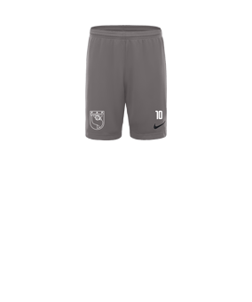 Nike Park III Short Kids Grau F017