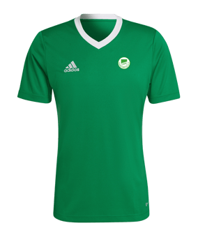adidas Entrada 22 Trikot Grün