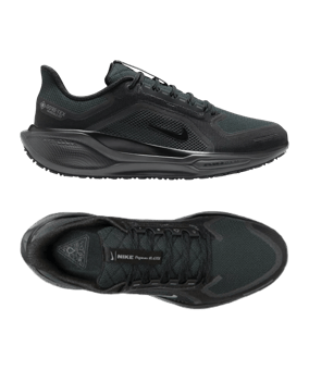Nike Chaussure de running Noir C001 - noir