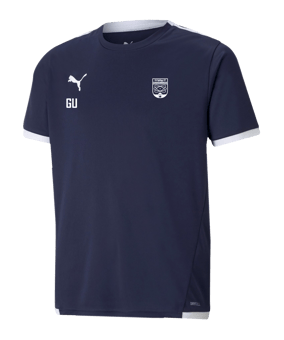 PUMA teamLIGA Trikot Kids Blau F06