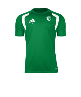  adidas SFE Training Shirt Grün