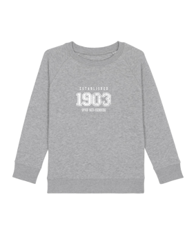 Merch Mini Scouter Sweatshirt Kids H. Grey FC250